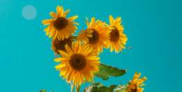 神的意思原是好的（創世記50:15-21）