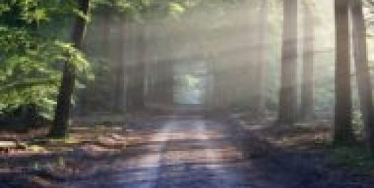 人生而需要休息：得以與神充滿喜樂的心靈相通