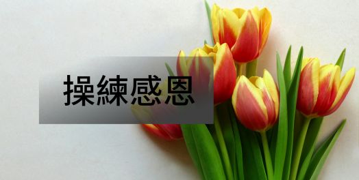 5. 操練感恩五